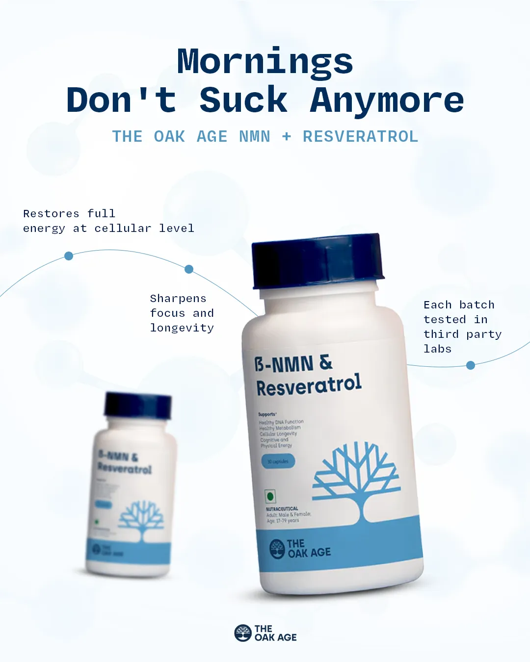 Supplements static ad: "Mornings"