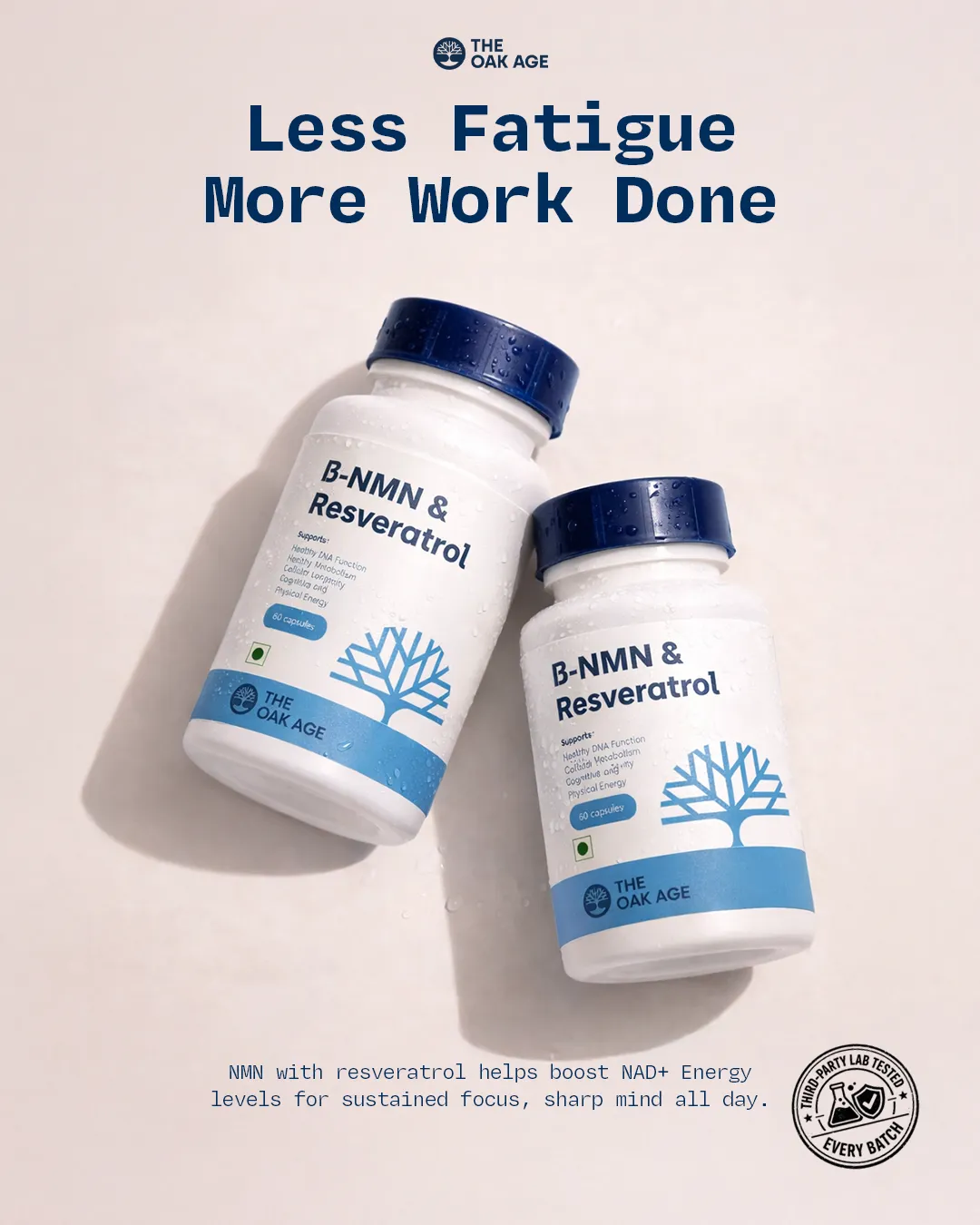Supplements static ad: "B-NMN &"